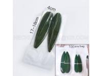 How to choose a Bamboo Leaves Supplier