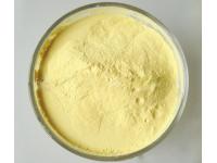 Pine Pollen Powder: Unlocking the Benefits of Nature’s Golden Superfood