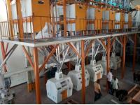 50-80TPD Steel Frame Maize Flour Mill Plant