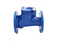 What are the Benefits and Applications of a Cast Iron Ball Check Valve?