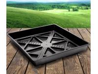 How to Grow Wheatgrass at Home: A Complete Guide to Using Wheatgrass Growing Trays