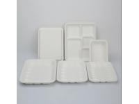 What are the key considerations for ensuring the proper disposal of Disposable Biodegradable Dishware?