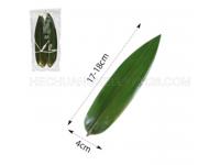 Fresh Bamboo Leaves for Sushi: How to Use and Benefits