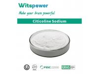 How Fast Does L-Theanine Take to Work?