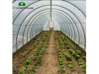 What are the advantages of polycarbonate's condensation resistance properties for tunnel greenhouse?