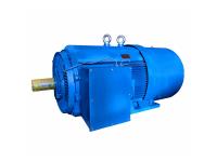 Squirrel Cages VS Induction Motors: What is the Difference?