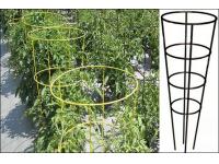 Spiral Wire and Tomato Cages