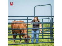 Why a Ranch Pipe Fence is the Best Investment for Your Property
