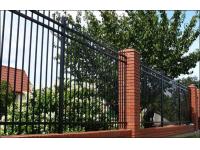 Powder Coated Galv. Steel Palisade Fence