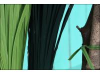 PVC Coated Trellis Wire