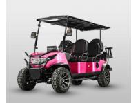 "BLADE" 4+2 buggy cart