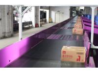 5 Things to Consider Before You Invest in Robotic Sorting