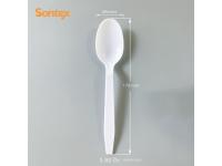 What are the advantages of using 100% biodegradable compostable spoons?