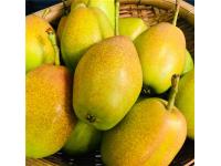 Red Fragrant Pears: A Delightful Blend of Taste and Aroma