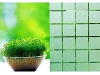 Window Film 101: Everything You Need to Know