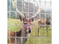 Deer Breeding Net