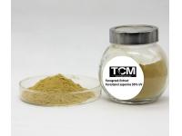 Boosting Testosterone Naturally: Top Herbs for Vitality and Balance