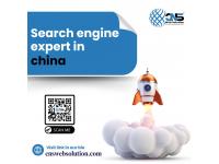 Navigating the Chinese Market: The Role of Search Engine Experts