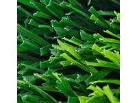  6s Type Monofilament Sports Grass