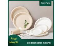 Introduction to Dinner Set