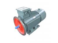 Where Are Squirrel Cage Motors Used?