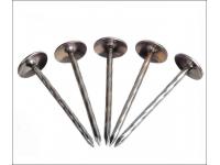 New Types of Nails and Information