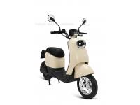 Key Benefits of Adult Recreational Electric Vehicles