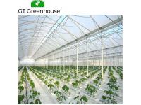 What kind of insulation should be used inside a sawtooth greenhouse?