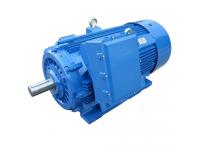 What Are Advantages of Squirrel Cage Asynchronous Motor