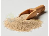 The Benefits and Applications of Yeast Powder in Modern Food Production