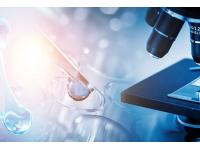 What is the rule of three in drug discovery?