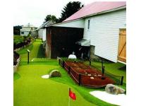 Is SBR Latex the Key to Enhancing Performance in Artificial Turf and Coating Applications?