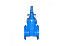 Is a RESILIENT SEAT GATE VALVE the Best Choice for Your Water System?