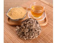 Ancient Forest Treasures: The Complete Guide to Medicinal Fungi Benefits