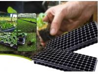 Why Are Seedling Trays Crucial for Successful Plant Growth?