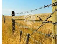 What Are the Different Types of Barbed Wire Mesh?