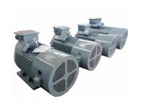 YE3 Series Three-Phase Asynchronous Motors