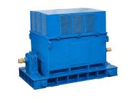 A4 Series High Voltage Electric Motors with GOST Standards