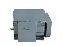 IEC Standard/ GOST Standard Medium Voltage Electric Motors/Asynchronous Motors 