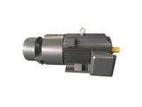 What are the advantages and applications of slip ring induction motors?
