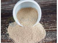Is Natural Yeast Powder the Secret Ingredient Your Recipes Are Missing?