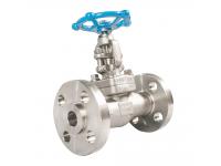What should I know about stainless steel flanged globe valves?