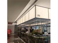 What are the pros and cons of resin board translucent ceilings?