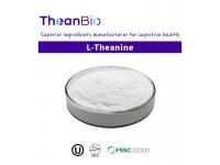 Citicoline Supplement Benefits: What You Need to Know