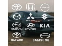 Automobile Oil Seal-NNK Is Your Best Choice