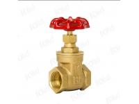 What Makes a Brass Gate Valve the Right Choice for Your Plumbing System?