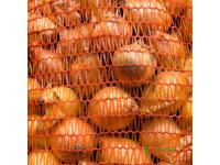 Roll stock labeled mesh bag,raschel bags on rolls onion potato bag, for packing produce