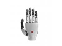 Can a Bionic Robot Hand Truly Mimic the Human Touch?