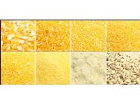 Is the Maize Milling Plant Solution the Key to Efficient Grain Processing?