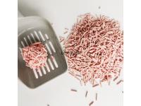 Is Tofu Cat Litter the Healthier and More Eco-Friendly Choice for Your Feline Friend?